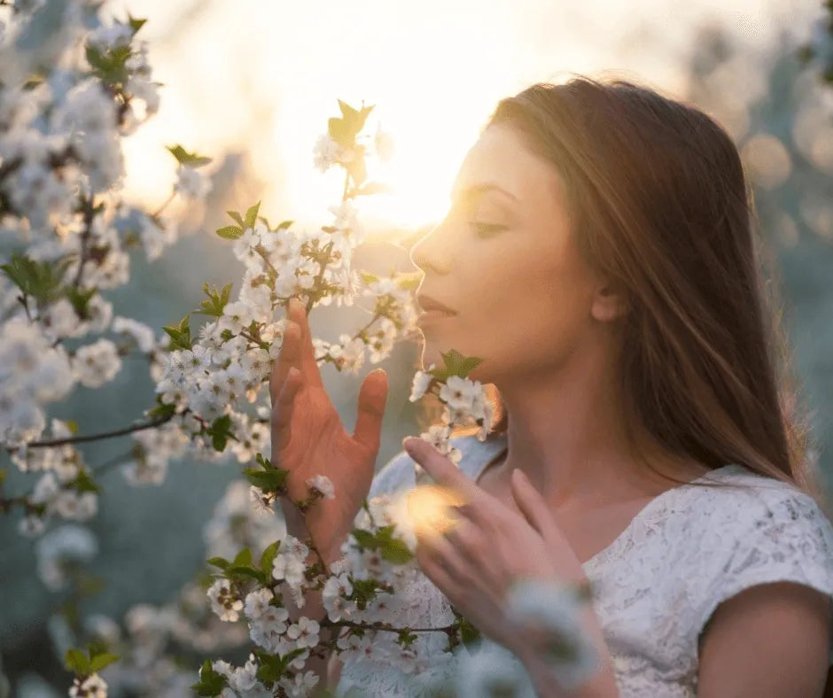 Scent Notes - The Key to Beautiful Home Fragrance