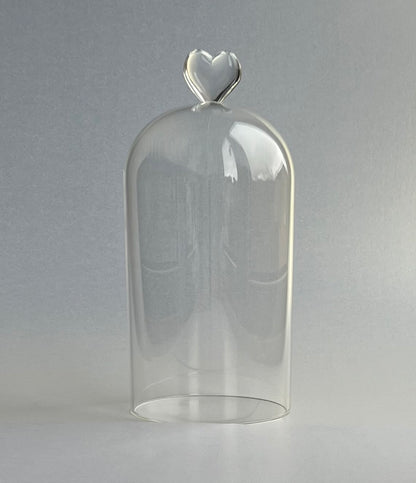 GLASS CLOCHE
