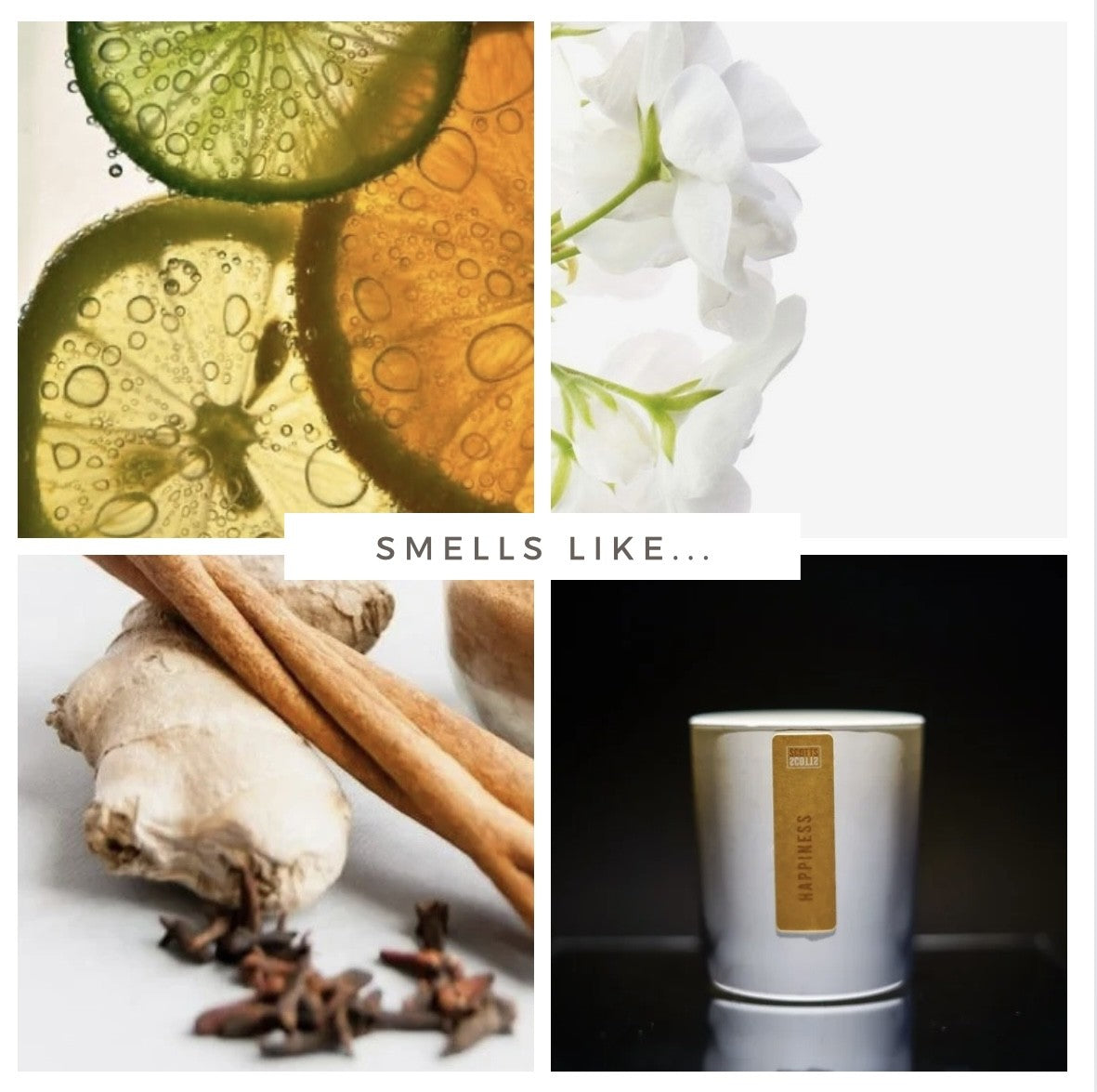 HAPPINESS SOY WAX MELT